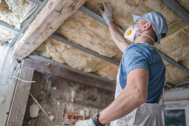 Best Attic Insulation Installation  in Denton, TX