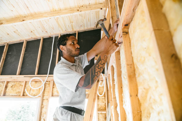 Best Insulation for New Construction  in Denton, TX
